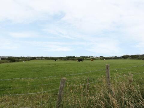 Ty Rhos, Farm Stay, Sleeps 4, Rhoshirwaun 2 Miles From Aberdaron Extérieur photo